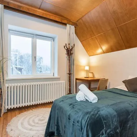 Ernesaks - Private Yard And Grill Villa